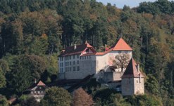 Замок Лаупен (Швейцария)