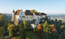 Замок Ленцбург (Швейцария)