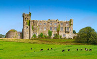 Замок Килбриттен (Ирландия) 5