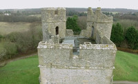 Замок Доннингтон (Англия) 8